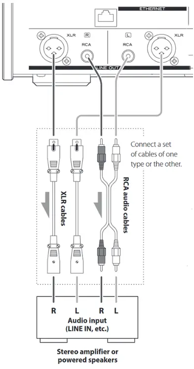 TEAC NT 505 USB Dac Network Player - Speakers