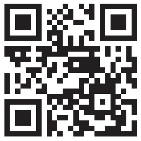 homia 3134 Smoking Gun Wood Smoke Infuser Birner -- Smokef