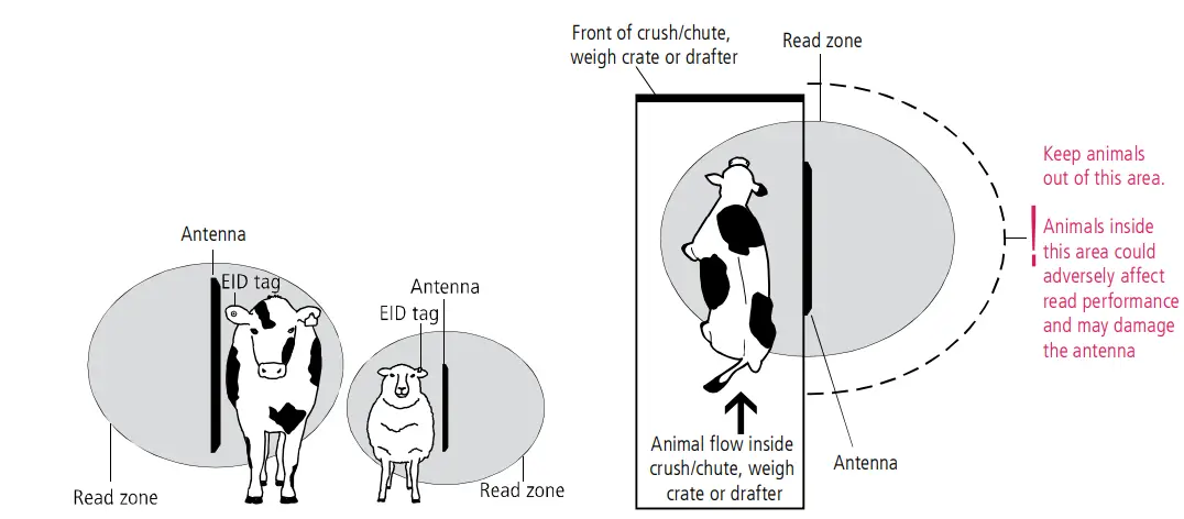 Tru-Test XRP2i Pane- Reader-and-Antenna-fig-5