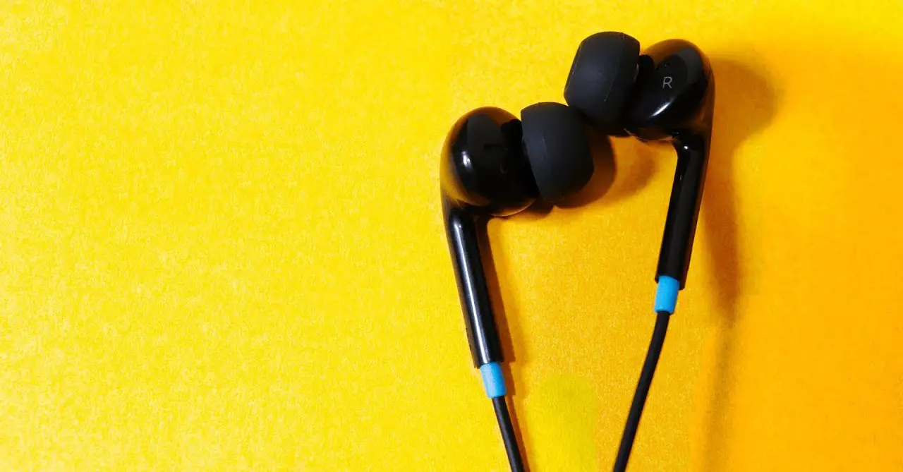 Sa Re Ga Ma Ear Earphones With Mic User Manual