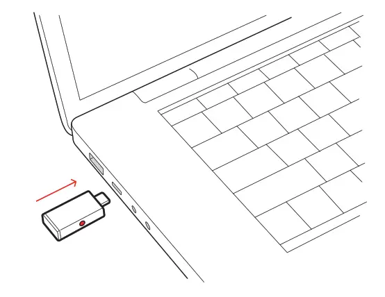 Poly - USB adapter setup