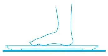 LOFTILLA B0BNB1XSJ2 Body Composition Scale - fig 2