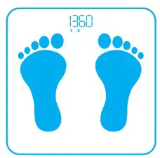 LOFTILLA B0BNB1XSJ2 Body Composition Scale - fig 3