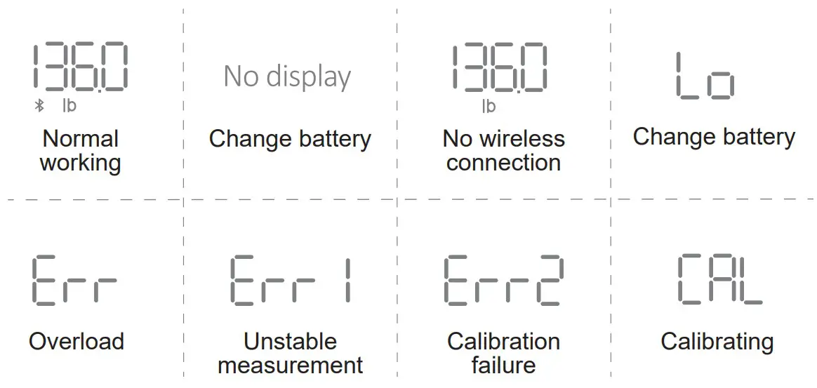 LOFTILLA B0BNB1XSJ2 Body Composition Scale - fig 7