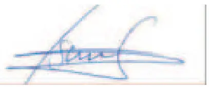 COZZE 90350 13 Inch Gas Pizza Oven with Thermometer - Signature