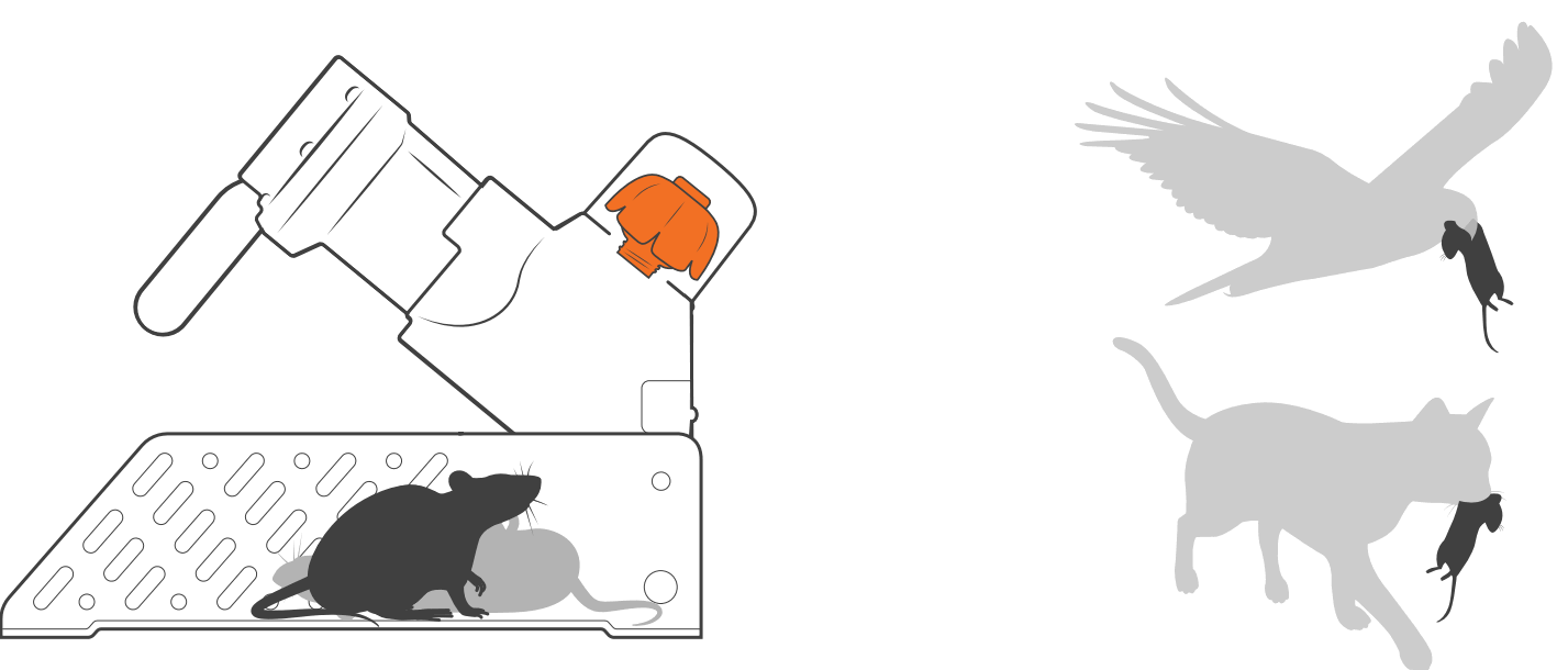 Biral VariA Inline Pumps - A24 Trap 3