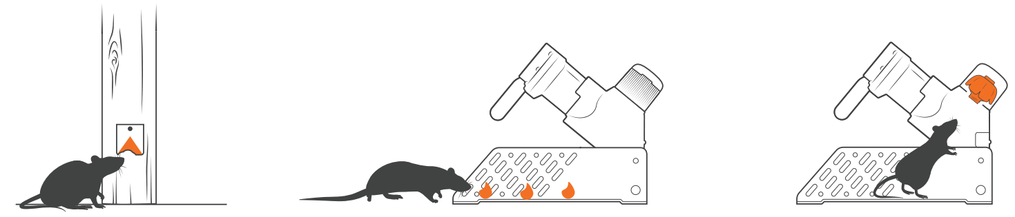 Biral VariA Inline Pumps - Toxin free 2