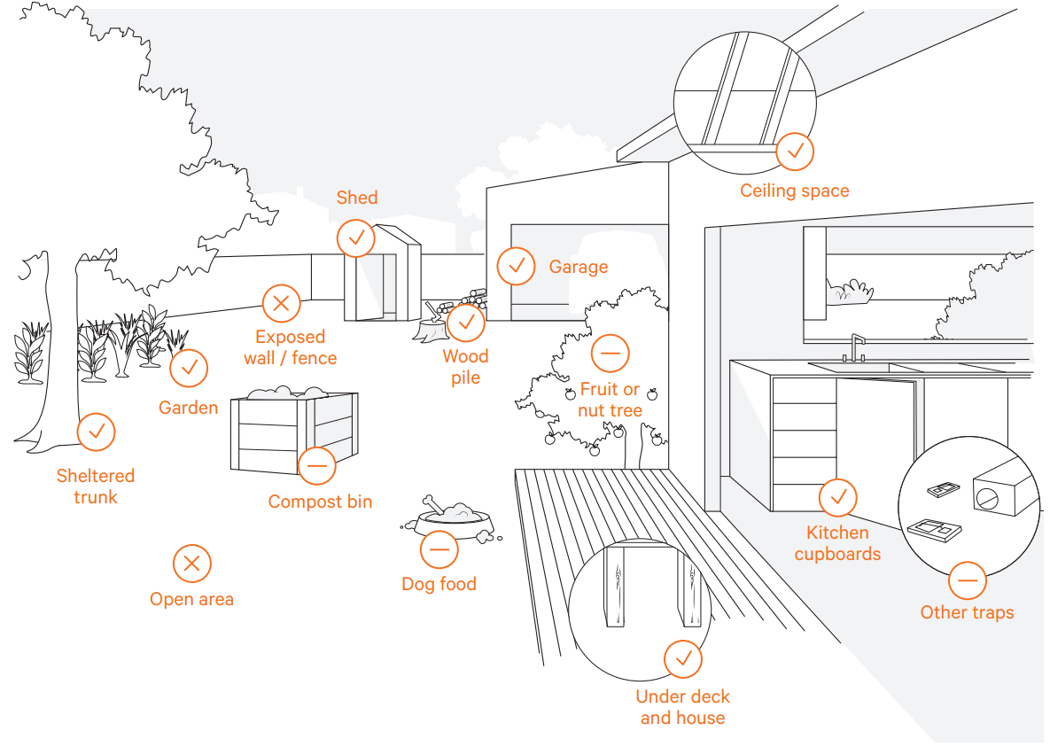 Biral VariA Inline Pumps - Trap Location