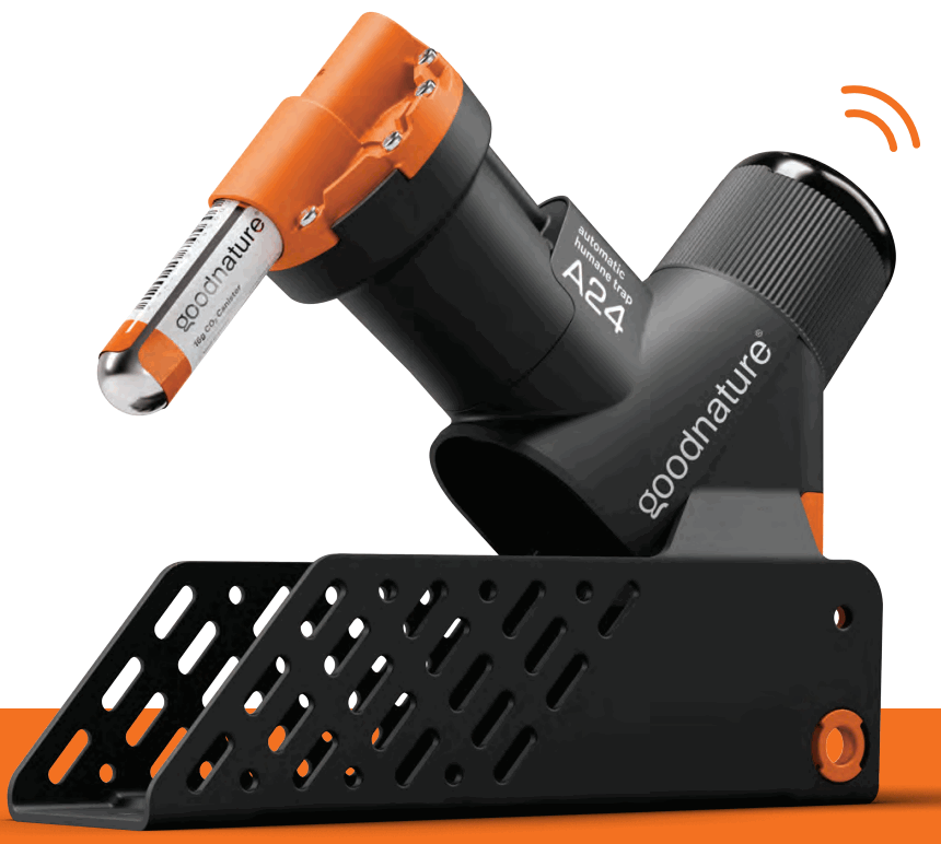 Biral VariA Inline Pumps