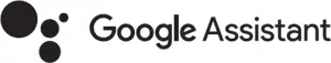 goggle assistant