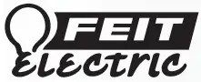 FEIT logo
