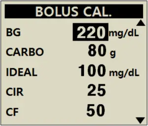 Dana Diabecare RS Insuline Pump - Setting 19
