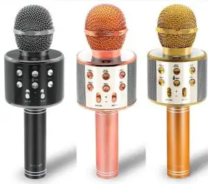 WSTER WS-858 Wireless Karaoke Microphone User Manual