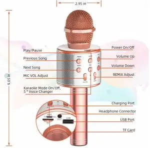 WSTER WS-858 Wireless Karaoke Microphone User Manual