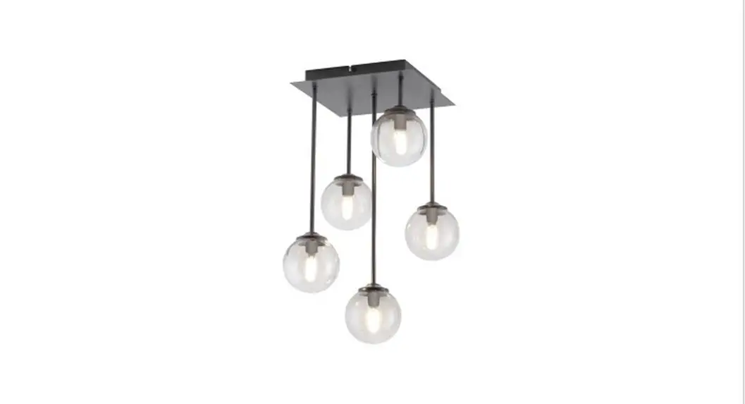 Paul Neuhaus 074032 Ceiling Light Dimmer Instruction Manual