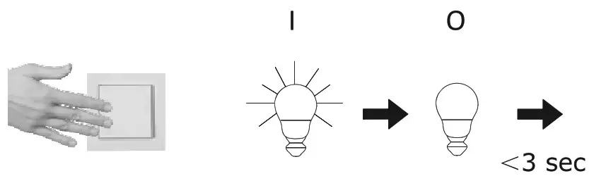 Paul Neuhaus 074032 Ceiling Light Dimmer - fig