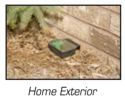 TOMCAT BG7611 Mouse Killer Disposable Station for Indoor - location8