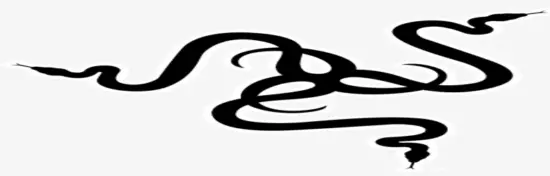 RAZER logo
