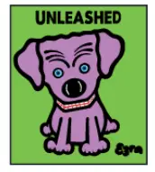 THORLABS QD 4000 Class 1 Servo Amplifier for QS Series Galvo Scanners - ICON7