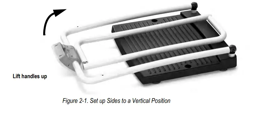 RICE-LAKE-250-10-2-Bariatric-Handrail-Scale-1