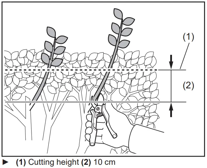 makita UH00 Series Cordless Hedge Trimmer - Cutting height