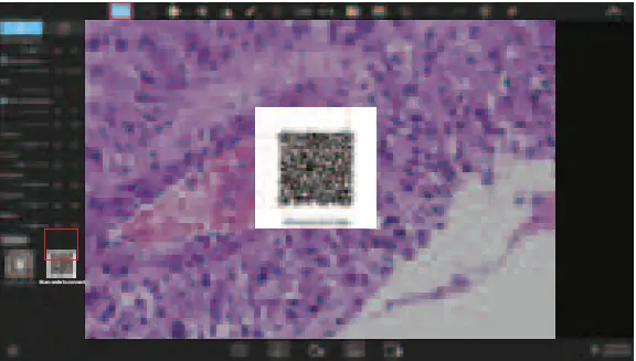 OSTEC Trinocular Microscope Smart Camera 12