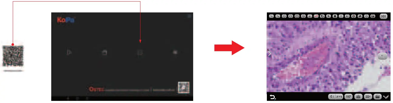 OSTEC Trinocular Microscope Smart Camera 13