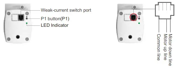 Artisan Window Fashions DT82TNNA-12N Motor- Product Introduction