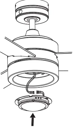 Assembly Instructions