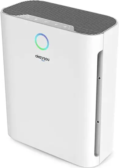 okaysou Apollo 718 H13 True HEPA Air Purifier