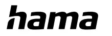 hama-00223454-Travel-Adapter-LOGO