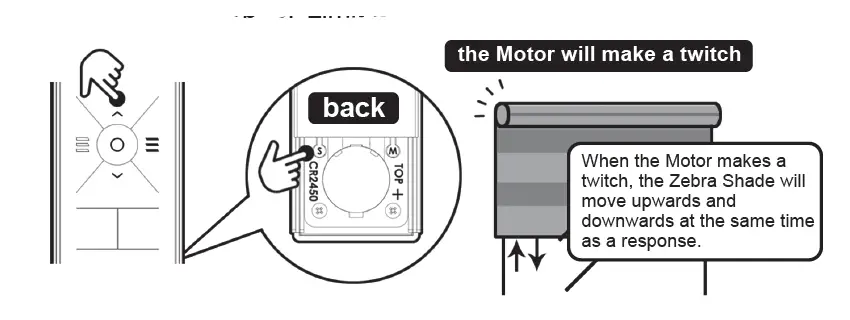 Bintronic Motorized Smart Zebra Shades FIG 2