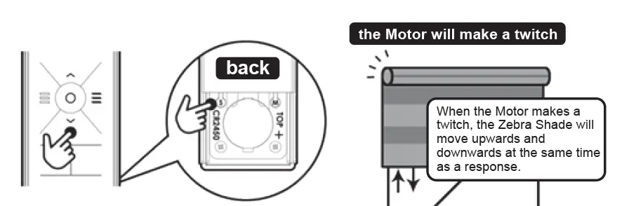 Bintronic Motorized Smart Zebra Shades FIG 6