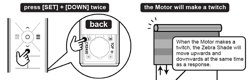 Bintronic Motorized Smart Zebra Shades FIG 9