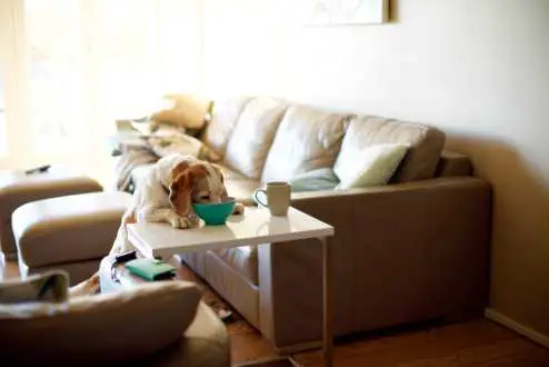 tp-link KC100 Kasa Spot Indoor Security Camera - Night Vision