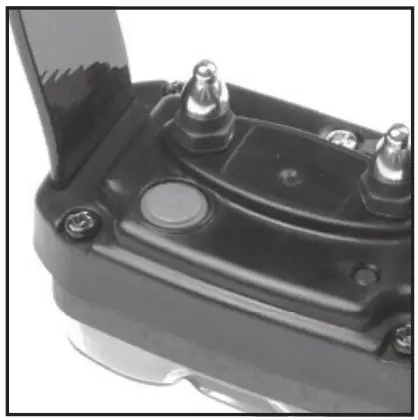 EDGE Code Setting Guide