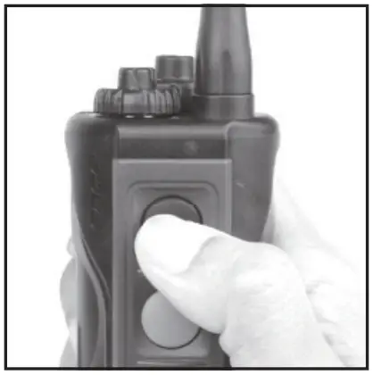 EDGE Code Setting Guide