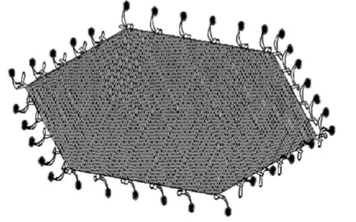 Joyin-TURFEE-70017-50inch-Hexagonal-Trampoline-FIG- (4)