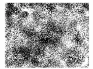 Whynter ARC-14SH Eco-Friendly 14000 BTU -fig10