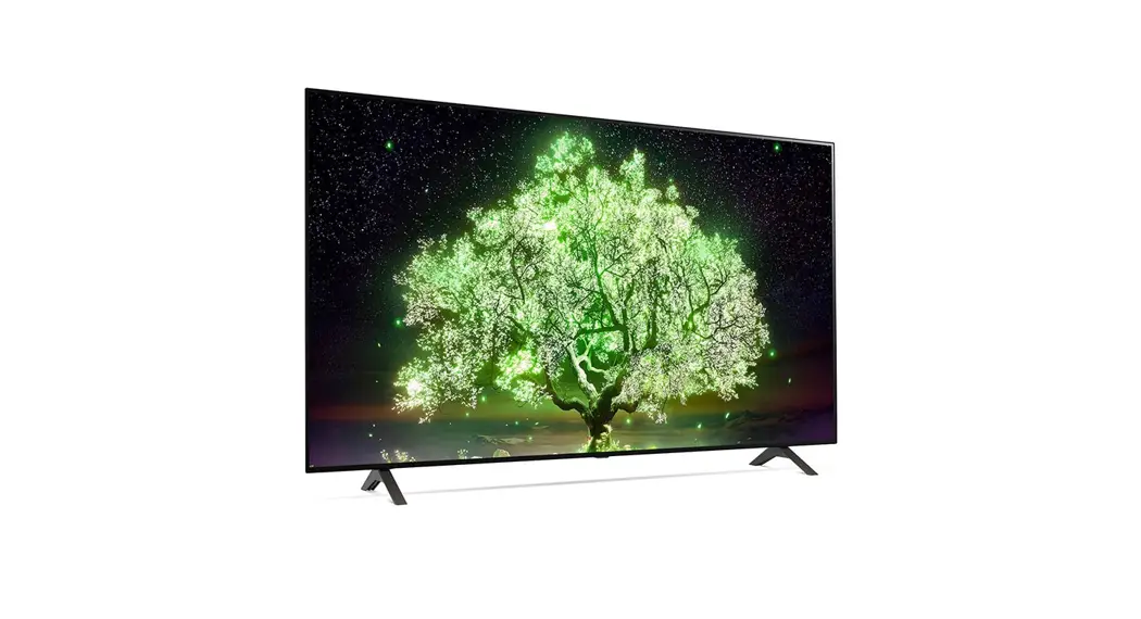 Lg Mfl71825812 Oled Tv Owner's Manual