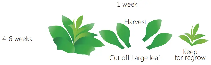 OPCOM OFG003-3 Hydroponics Grow Wall-Fig5-5