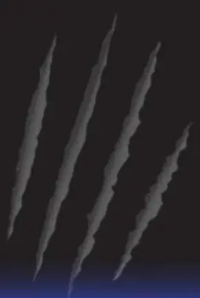 OPTIX M15 Dual Action Polisher - Cover