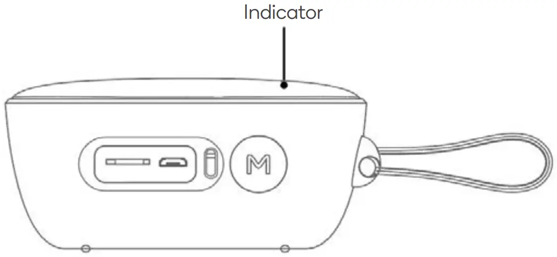 Indicator