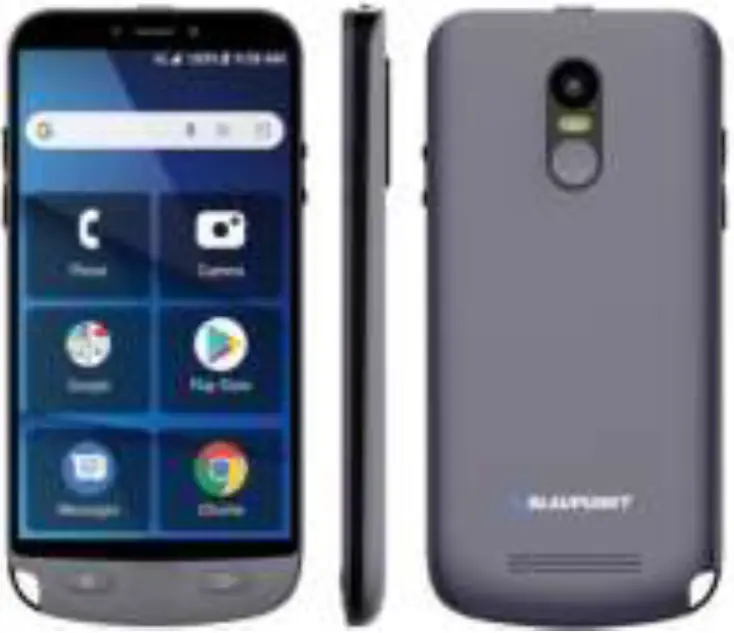 BLAUPUNKT Mobile Phone Guardian 01