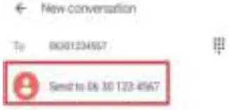 BLAUPUNKT Mobile Phone Guardian 12