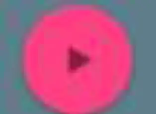 BLAUPUNKT Mobile Phone Guardian 17