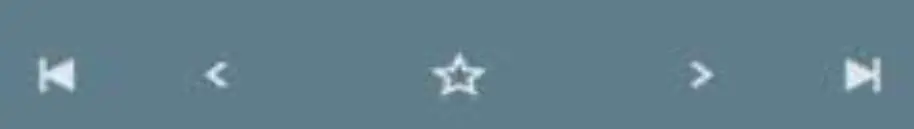 BLAUPUNKT Mobile Phone Guardian 17