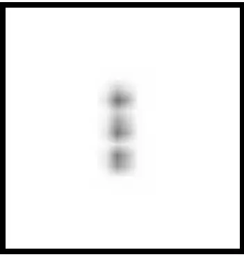 BLAUPUNKT Mobile Phone Guardian 21