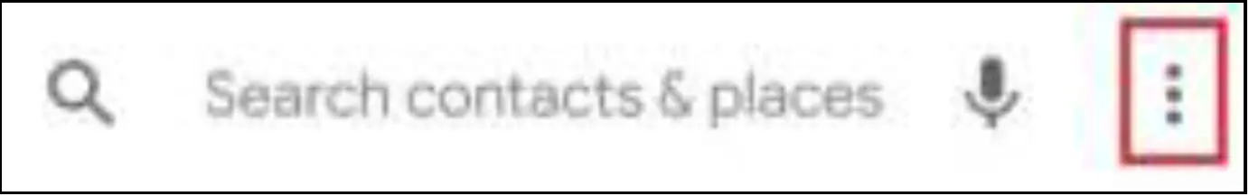 BLAUPUNKT Mobile Phone Guardian 29