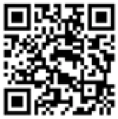 BULLY Receiver Hitch Steps - qr code
